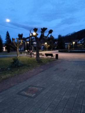 Apartman Pavle